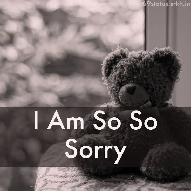 i am sorry images